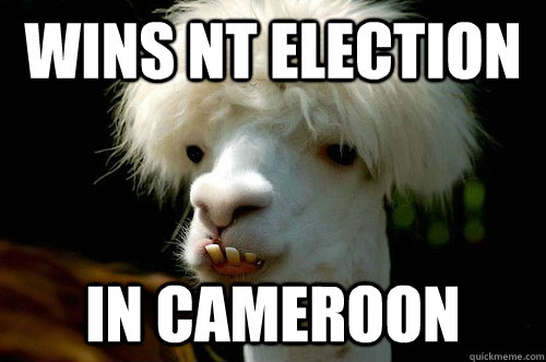 Wins nt election in cameroon - Wins nt election in cameroon  Stupid llama