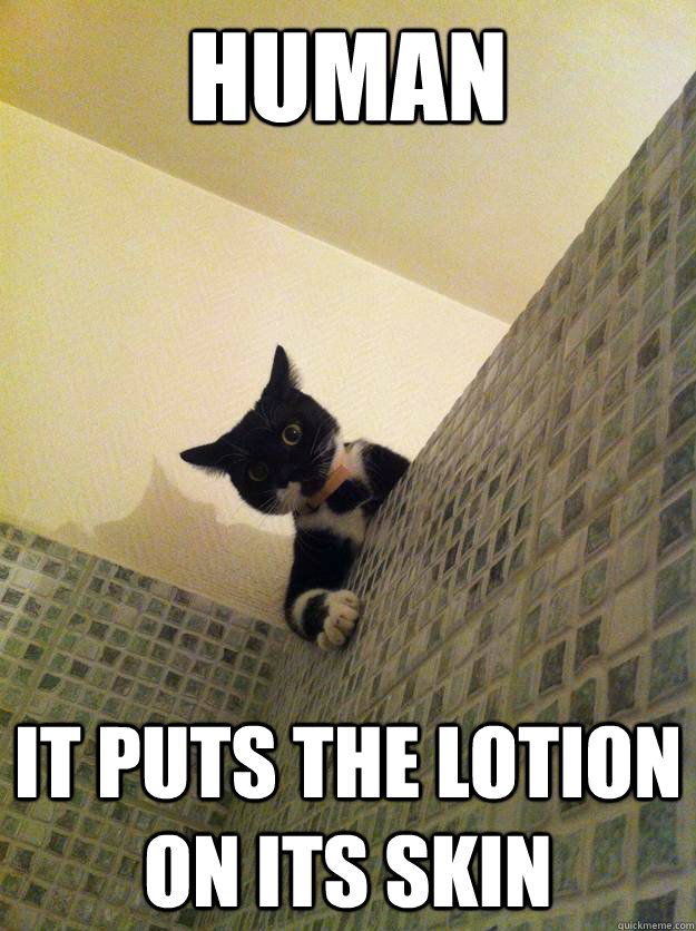 human It puts the lotion on its skin  Incredulous Cat