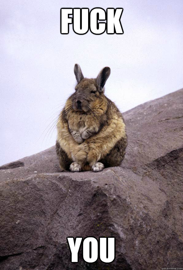 Fuck You  Wise Wondering Viscacha