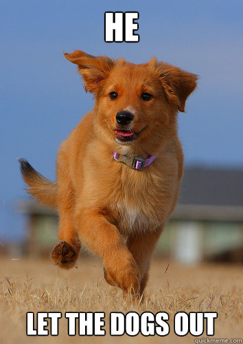 He let the dogs out  Ridiculously Photogenic Puppy