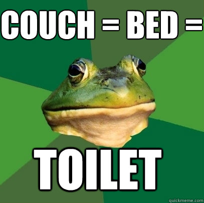 Couch = bed =   toilet - Couch = bed =   toilet  Foul Bachelor Frog