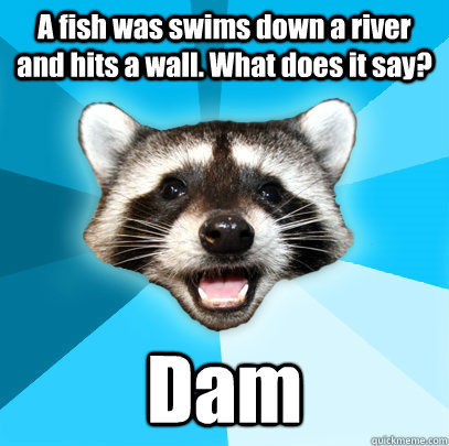 A fish was swims down a river and hits a wall. What does it say? Dam - A fish was swims down a river and hits a wall. What does it say? Dam  Lame Pun Coon