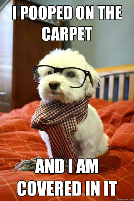 i pooped on the carpet and i am covered in it  Hipster Dog