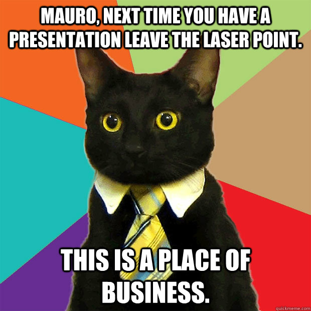 Mauro, next time you have a presentation leave the laser point. This is a place of business.  Business Cat