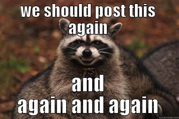 WE SHOULD POST THIS AGAIN AND AGAIN AND AGAIN Evil Plotting Raccoon