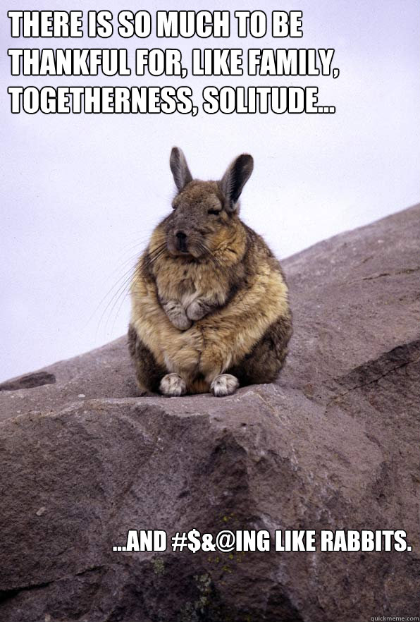 There is so much to be thankful for, like family, togetherness, solitude... ...and #$&@ing like rabbits.  Wise Wondering Viscacha