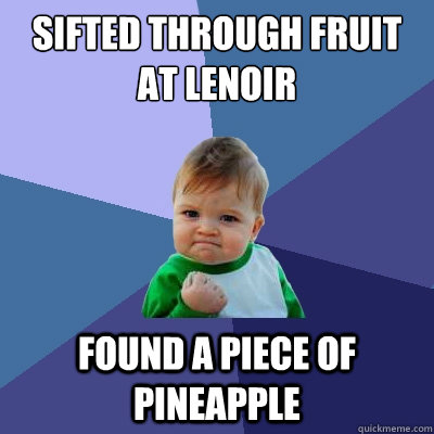 sifted through fruit at lenoir found a piece of pineapple  Success Kid