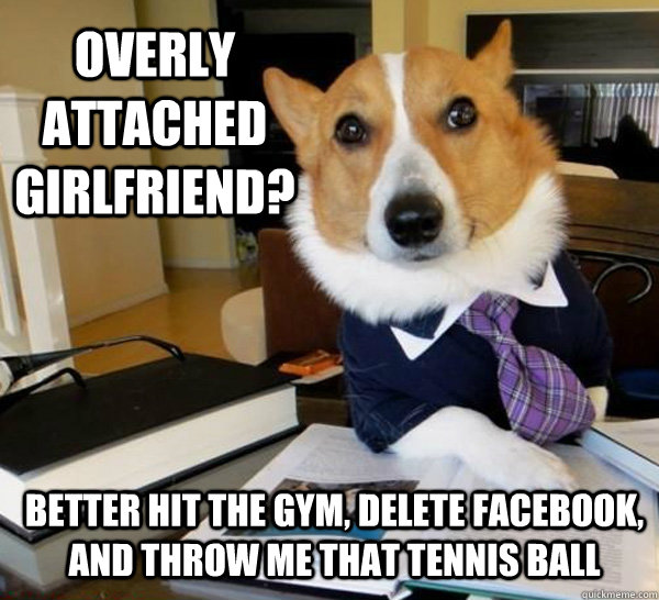 Overly attached girlfriend? Better hit the gym, delete facebook, and throw me that tennis ball  Lawyer Dog