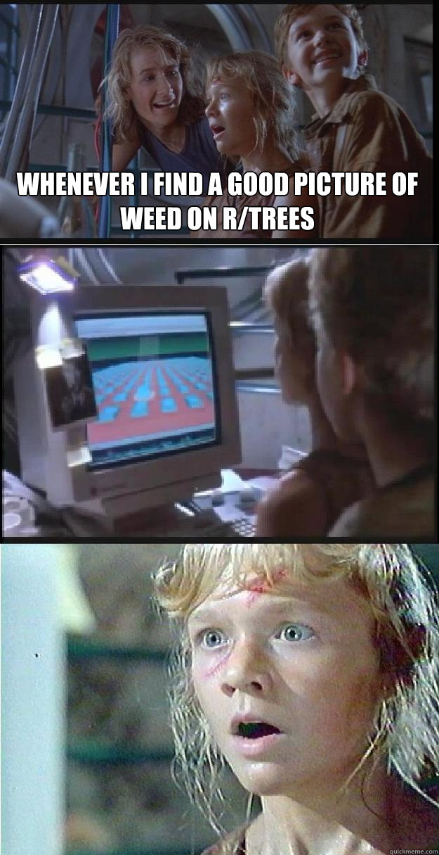 Whenever i find a good picture of weed on r/trees   Jurassic Park Lex