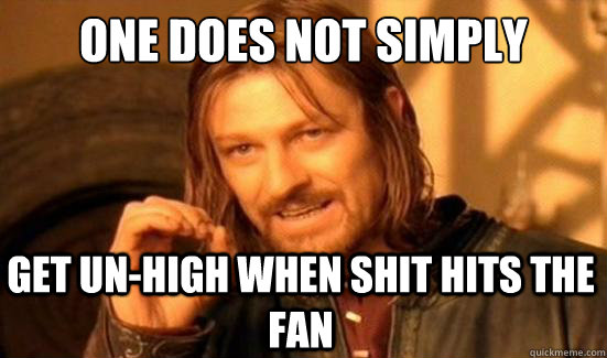 One Does Not Simply Get un-high when shit hits the fan - One Does Not Simply Get un-high when shit hits the fan  Boromir