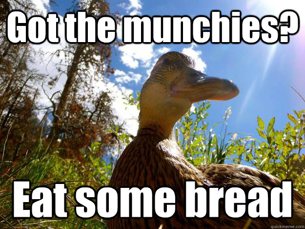 Got the munchies? Eat some bread - Got the munchies? Eat some bread  High as Duck