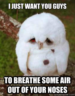 I just want you guys To breathe some air out of your noses  Sad Owl