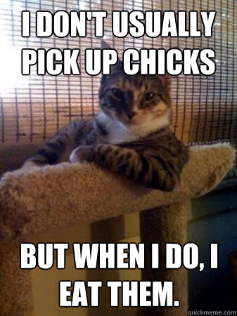 I don't usually pick up chicks But when I do, I eat them.  The Most Interesting Cat in the World