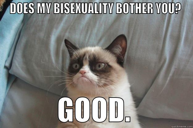 DOES MY BISEXUALITY BOTHER YOU? GOOD. Grumpy Cat