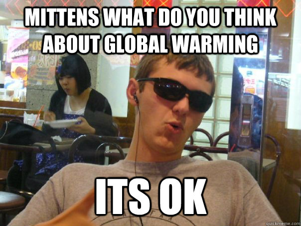 Mittens what do you think about global warming  its ok   mittens