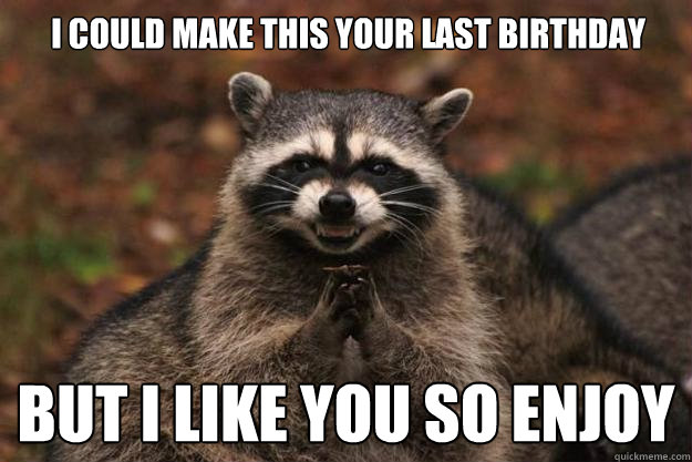 I could make this your last birthday but i like you so enjoy - I could make this your last birthday but i like you so enjoy  Evil Plotting Raccoon