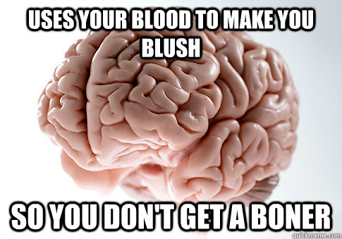 USES YOUR BLOOD TO MAKE YOU BLUSH SO YOU DON'T GET A BONER - USES YOUR BLOOD TO MAKE YOU BLUSH SO YOU DON'T GET A BONER  Scumbag Brain