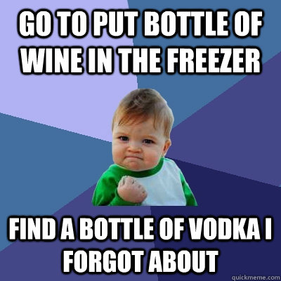 Go to put bottle of wine in the freezer find a bottle of vodka i forgot about  Success Kid