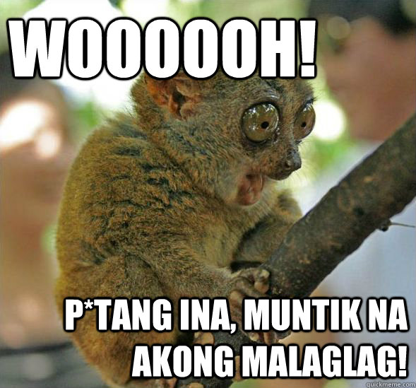 WOOOOOH! p*TANG INA, MUNTIK NA AKONG MALAGLAG! - WOOOOOH! p*TANG INA, MUNTIK NA AKONG MALAGLAG!  Sudden Clarity Tarsier