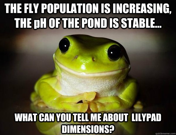 THE FLY POPULATION IS INCREASING, THE pH OF THE POND IS STABLE... WHAT CAN YOU TELL ME ABOUT  LILYPAD DIMENSIONS?  Fascinated Frog