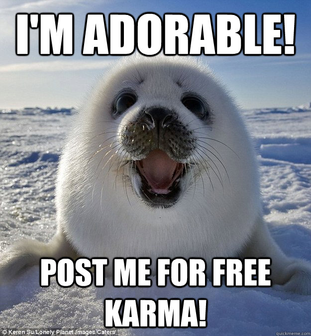 I'm adorable! post me for free karma!  