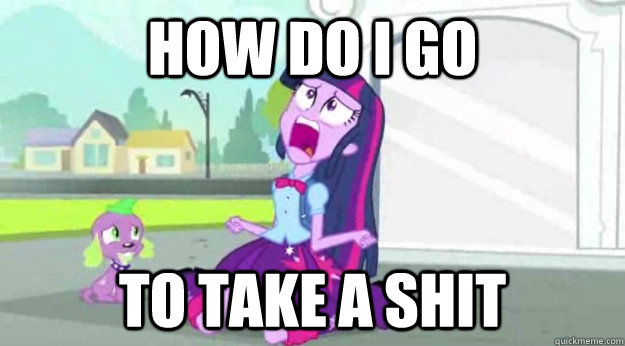 HOW DO I GO TO TAKE A SHIT  Human Twilight Sparkle