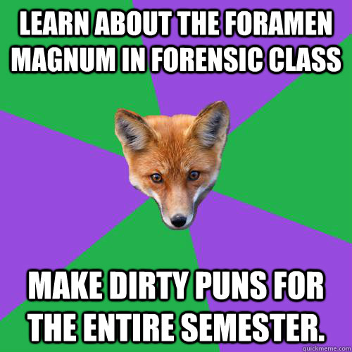 Learn about the Foramen Magnum in Forensic class Make dirty puns for the entire semester.   Anthropology Major Fox