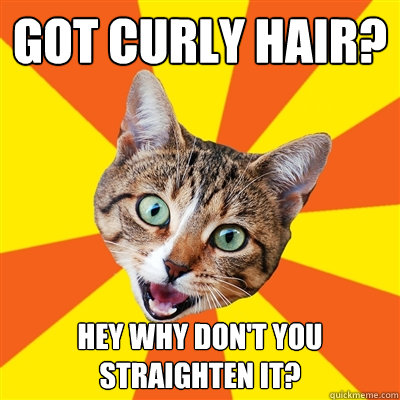 Got Curly Hair? Hey why don't you straighten it?  Bad Advice Cat