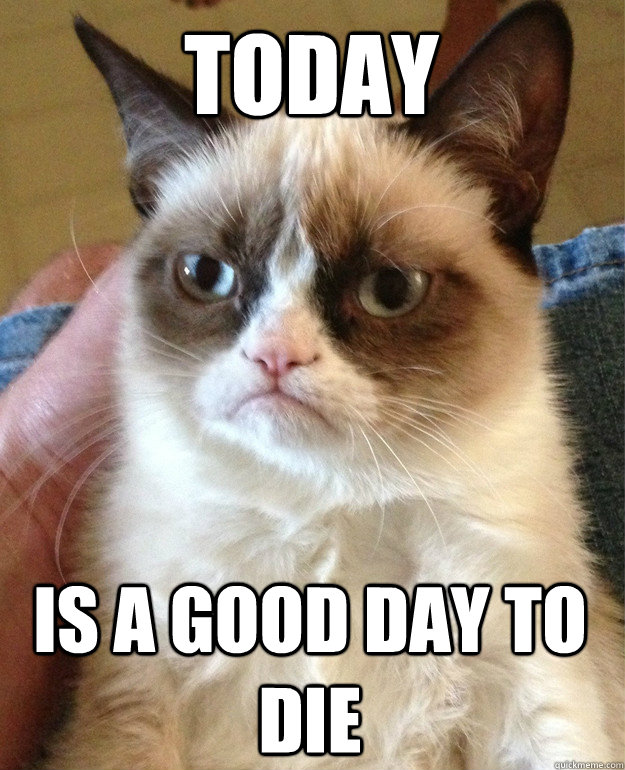 Today is a good day to die  Grumpy Cat