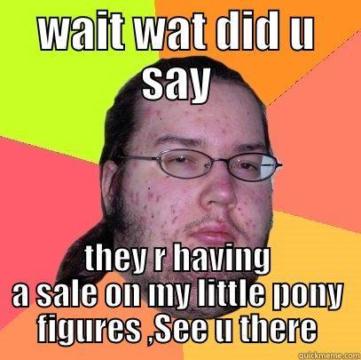 WAIT WAT DID U SAY THEY R HAVING A SALE ON MY LITTLE PONY FIGURES ,SEE U THERE Butthurt Dweller