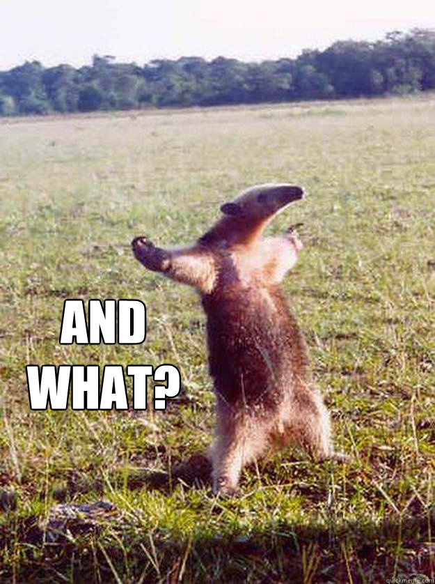 and 
what? - and 
what?  come at me bro anteater