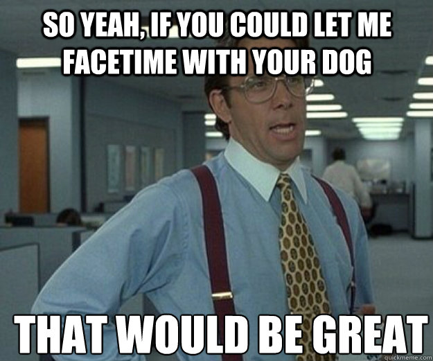 So yeah, if you could let me facetime with your dog THAT WOULD BE GREAT  that would be great