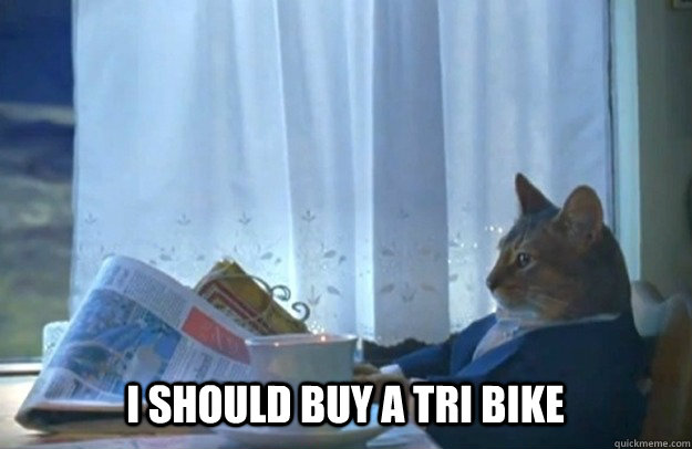 i should buy a tri bike  Sophisticated Cat