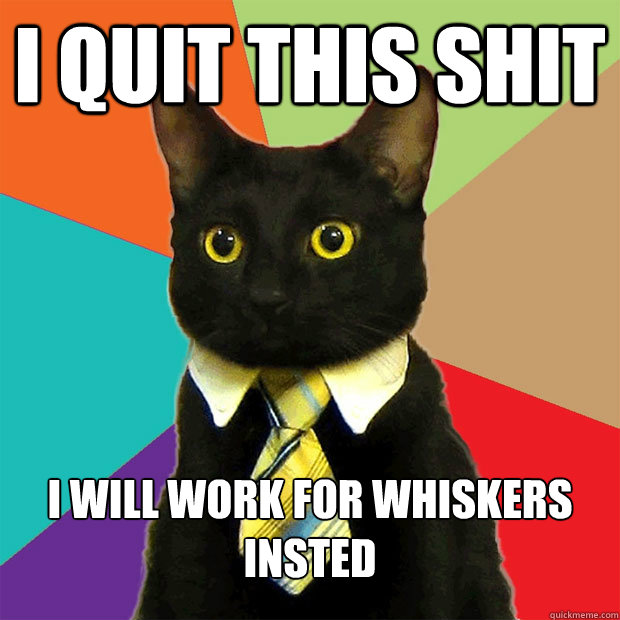 i quit this shit i will work for whiskers insted  Business Cat