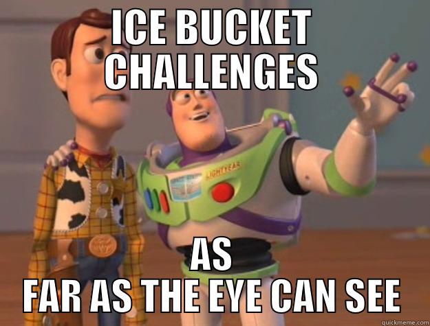 ICE BUCKET CHALLENGES - ICE BUCKET CHALLENGES AS FAR AS THE EYE CAN SEE Toy Story