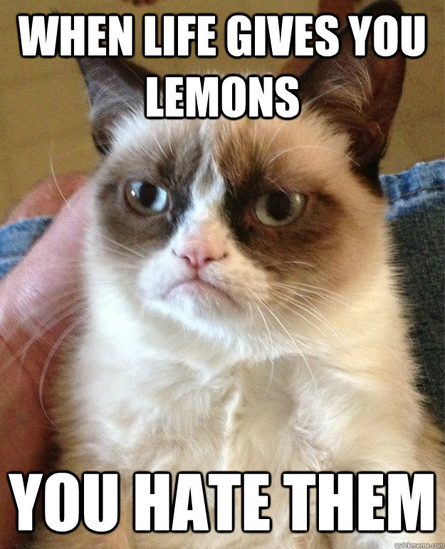 when life gives you lemons you hate them  Grumpy Cat