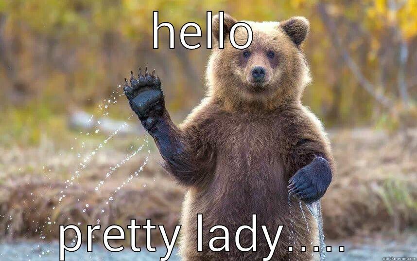 bear with a sore head - HELLO PRETTY LADY..... Misc