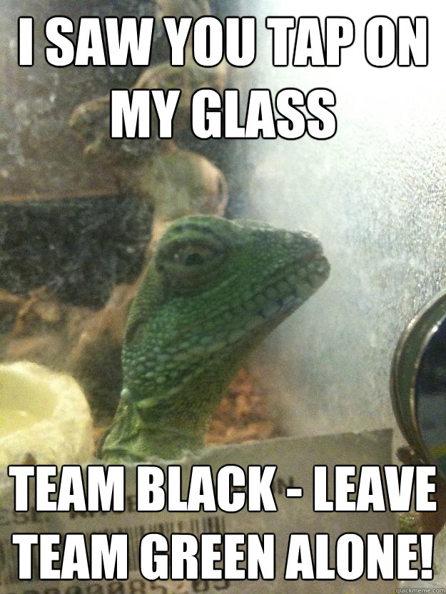 i saw You tap on my glass Team Black - Leave team green alone!  Leery Lizard