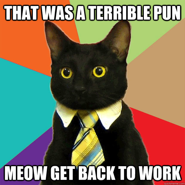 that was a terrible pun meow get back to work  Business Cat