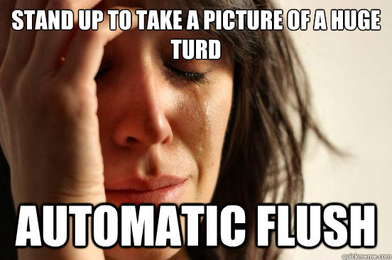 Stand up to take a picture of a huge turd automatic flush  First World Problems