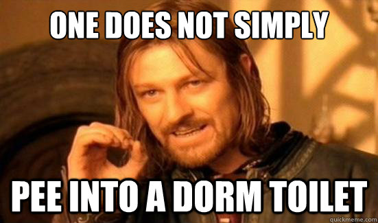 One Does Not Simply Pee into a dorm toilet  Boromir