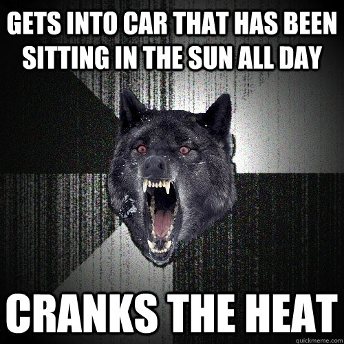 gets into car that has been sitting in the sun all day cranks the heat  Insanity Wolf