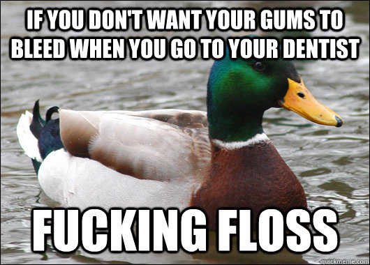 If you don't want your gums to bleed when you go to your dentist fucking floss  Actual Advice Mallard