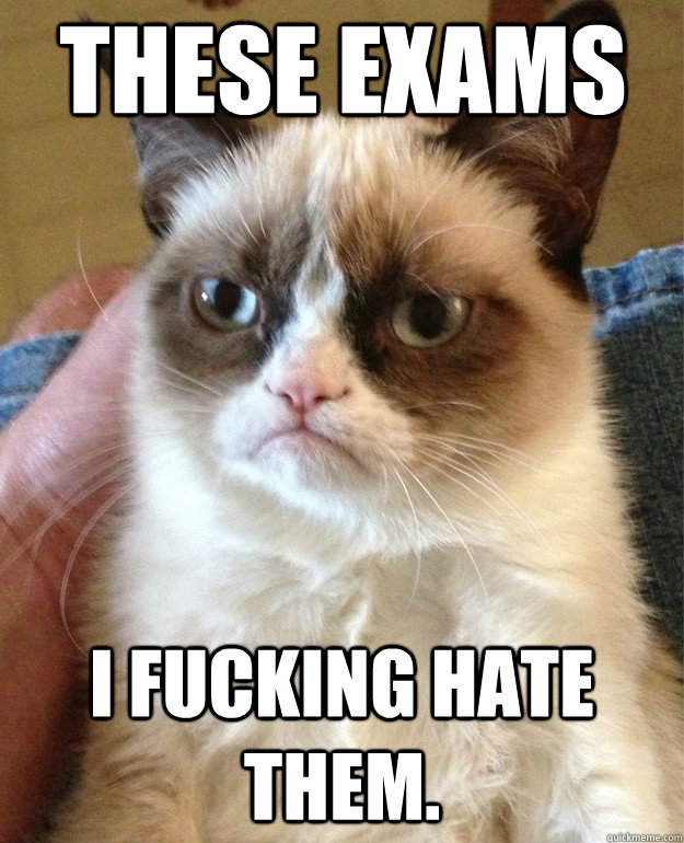 These Exams I fucking hate them.  Grumpy Cat