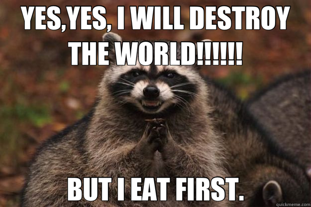 YES,YES, I WILL DESTROY THE WORLD!!!!!! BUT I EAT FIRST.  Evil Plotting Raccoon