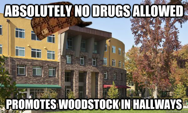 Absolutely no drugs allowed promotes woodstock in hallways  