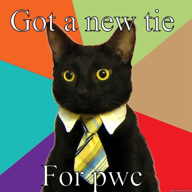 GOT A NEW TIE FOR PWC Business Cat