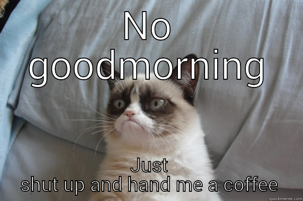 just shut up - NO GOODMORNING JUST SHUT UP AND HAND ME A COFFEE Grumpy Cat