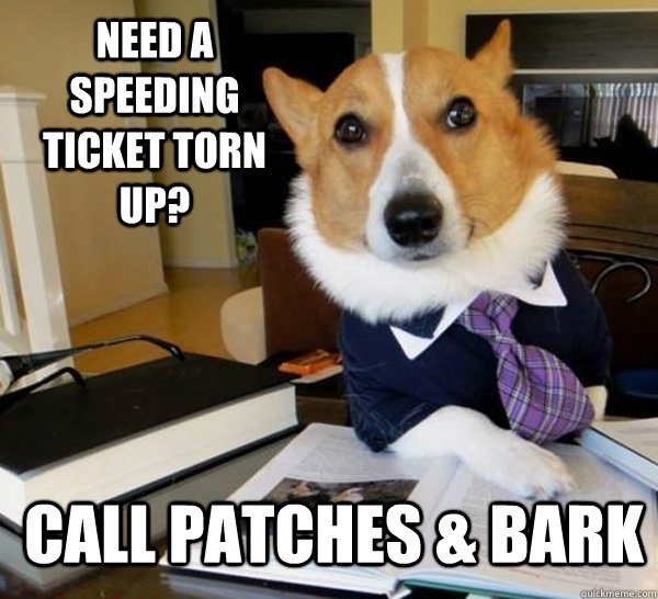 Need a speeding ticket torn up? Call Patches & Bark  Lawyer Dog