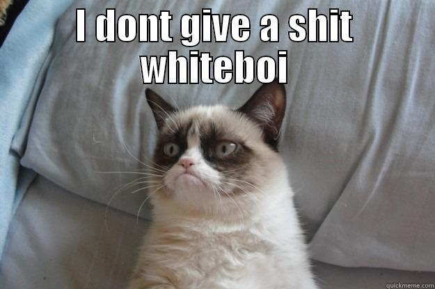 I DONT GIVE A SHIT WHITEBOI  Grumpy Cat